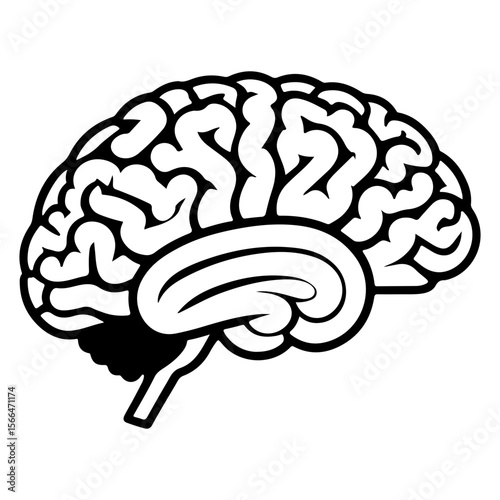 Stylized black and white drawing of a human brain anatomy illustration