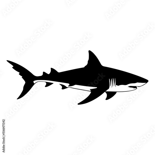 Detailed Black and White Vector Illustration of a Great White Shark