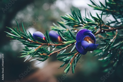 A close up of a blue flower on a tree branch