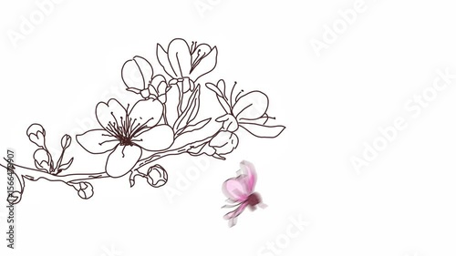 Sakura branch with floating flower. Sketch style