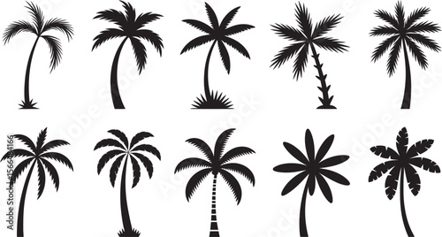 Set of Black Palm Tree Icons – Tropical Vector Silhouettes for Summer, Beach, and Nature Designs