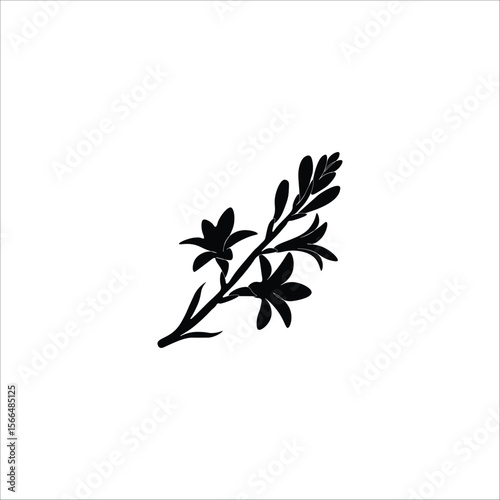 Flower with silhouette  
