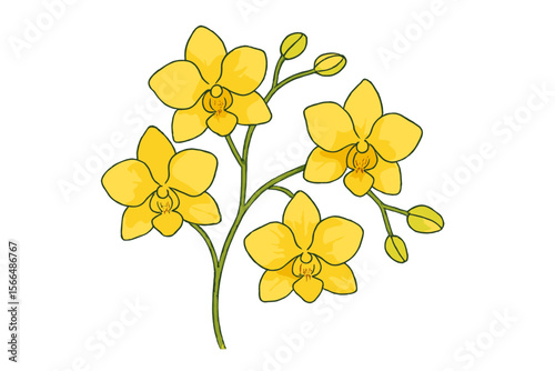 Vibrant yellow orchids with lush green stems showcasing the beauty of nature in a delicate arrangement