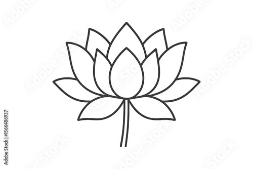 Beautiful lotus flower illustration with intricate petal details for artistic design purposes