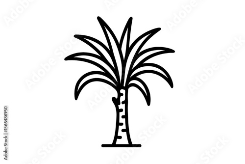Outline of a palm tree displaying intricate leaf patterns against a plain background, perfect for design inspiration or tropical themes