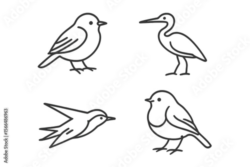 Wallpaper Mural Various bird illustrations showcasing different species in a simple line art style Torontodigital.ca