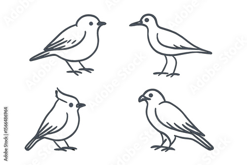 Illustration of four different bird species in simple line art style, showcasing distinct features and postures