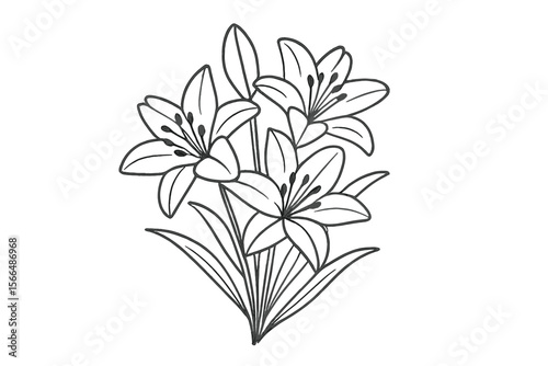 Beautiful bouquet of blooming lilies with delicate petals and lush green leaves presented in a botanical illustration style