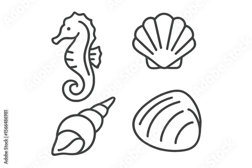 Seahorse, shell, and clam illustrations featuring different marine life and their distinct shapes and textures captured in simple line art