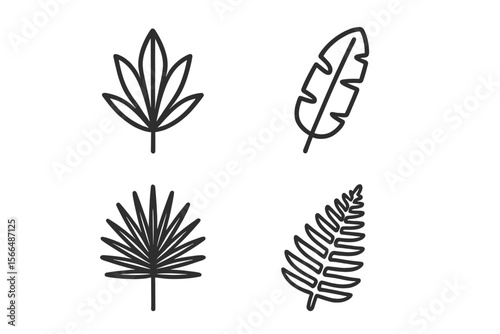 Various leaf designs in simple black outlines showcasing tropical and fern-like patterns