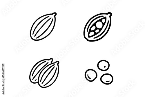 Diverse cacao seeds displayed in a minimalist design showcasing different varieties and forms of chocolate ingredients