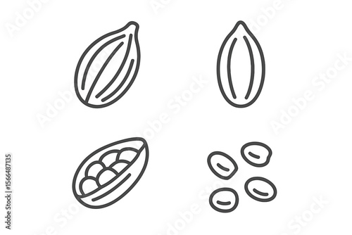 Illustration of cacao seeds and beans in various forms showcasing their natural shapes and textures in a minimalistic style