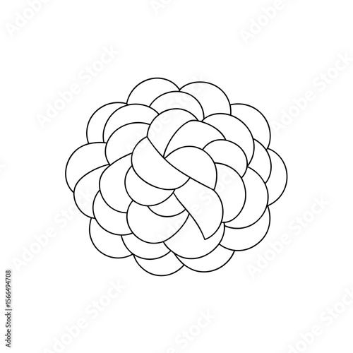 Steel Wool Pad Outline Coloring Page