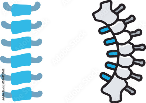 3d illustration cervical vertebrae connected to the human skull