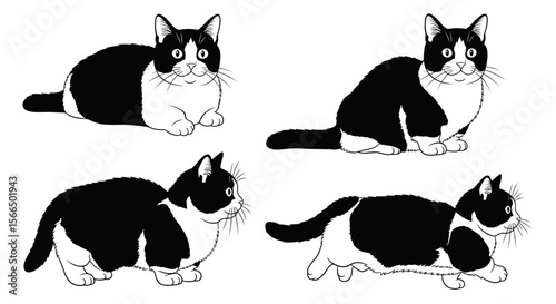 Cats in different poses illustrated in black and white vector style  
