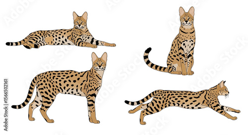 Four cats in different poses showcasing playful and relaxed behavior  