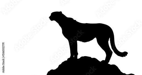 Silhouette of a cheetah standing atop a rocky outcrop against a stark white background in a graphic style
