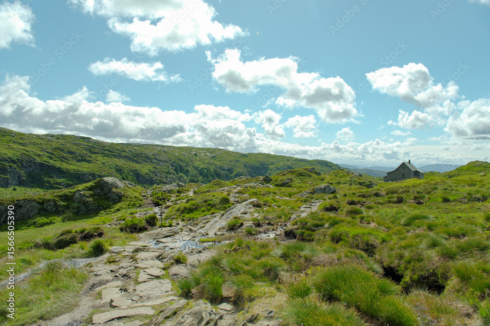 Fototapeta premium ChatGPT의 말: Vidden trail in Bergen Norway rocky grass landscape, 노르웨이 베르겐 비든 트레일 바위와 초원 풍경