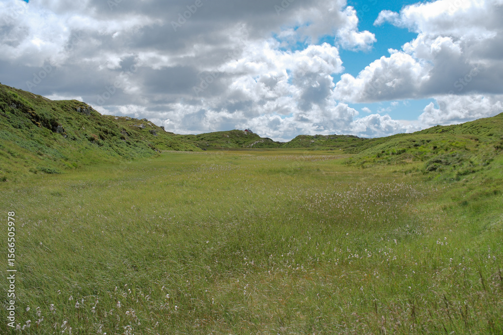 Fototapeta premium ChatGPT의 말: Vidden trail in Bergen Norway rocky grass landscape, 노르웨이 베르겐 비든 트레일 바위와 초원 풍경