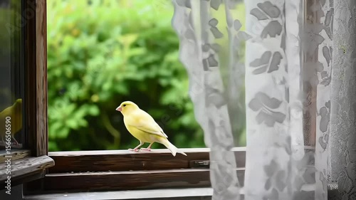 A serene yellow canary perched on a windowsill with lush greenery.