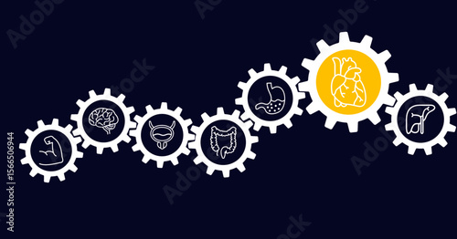 Internal organs vector illustration. Concept with connected icons related to anatomy, human body, medicine, organ biology, health care.