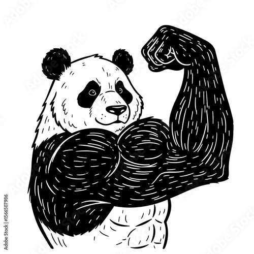 strong panda showing huge strong muscular arm sketch