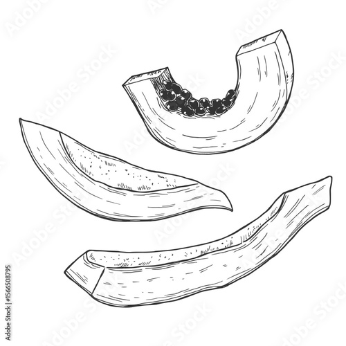 Papaya slices. Ink sketch isolated on white background. Hand drawn vector illustration. Retro style.