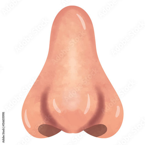 Nose illustration in hand drawn watercolor painting style, nose clip art, clip art nose
