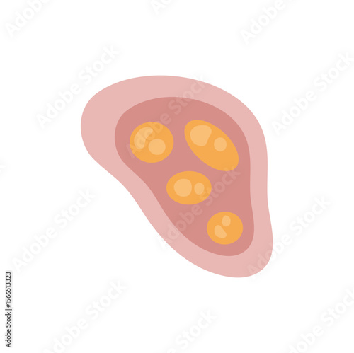 Human intestinal coccidia parasites vector illustration 