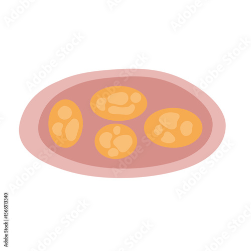 Human intestinal coccidia parasites vector illustration 