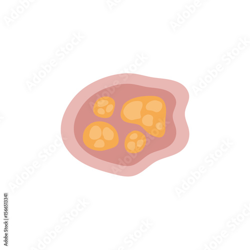 Human intestinal coccidia parasites vector illustration 