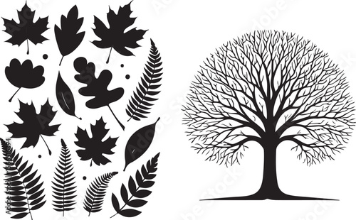 Black tree silhouette and assorted leaf shapes leaves maple leaf