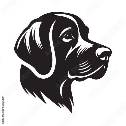 portrait of a dog