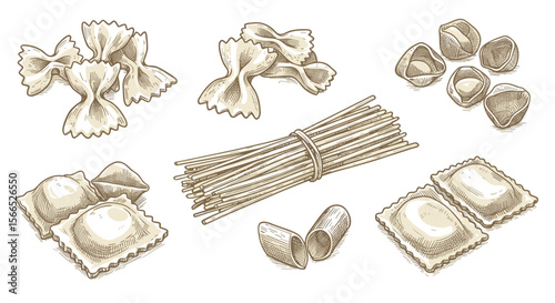 Hand drawn pasta varieties vector illustration for culinary design and print use