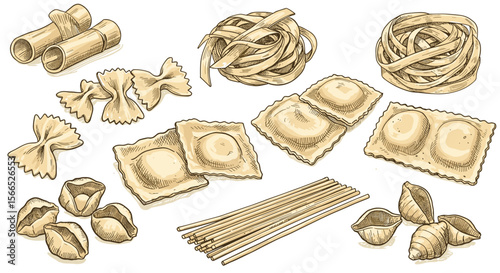 Variety of classic italian pasta shapes vector illustration for food design and decor, hand-drawn style