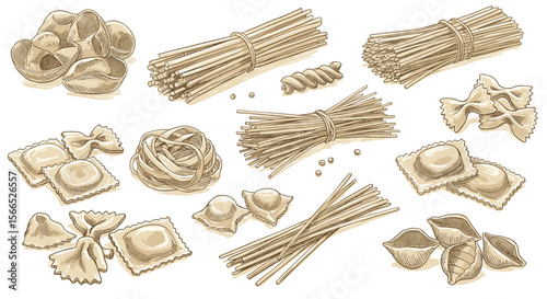 Variety of italian pasta types vector illustration in hand-drawn style for culinary design