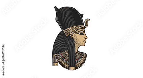 Ancient egyptian queen vector illustration for historical and cultural designs