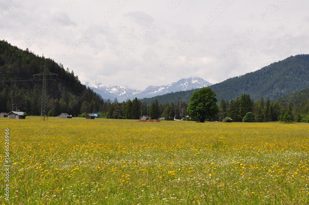 Fototapeta premium Wandern in Garmisch und Umgebung