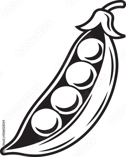 Black and white illustrated vector of a freshly opened pea pod showing four peas