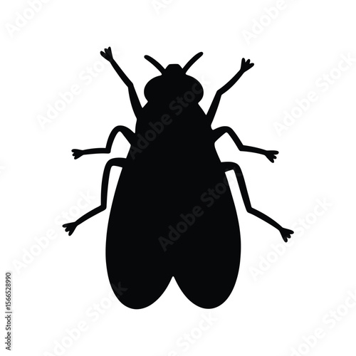 A black silhouette of a house fly against a pure white background