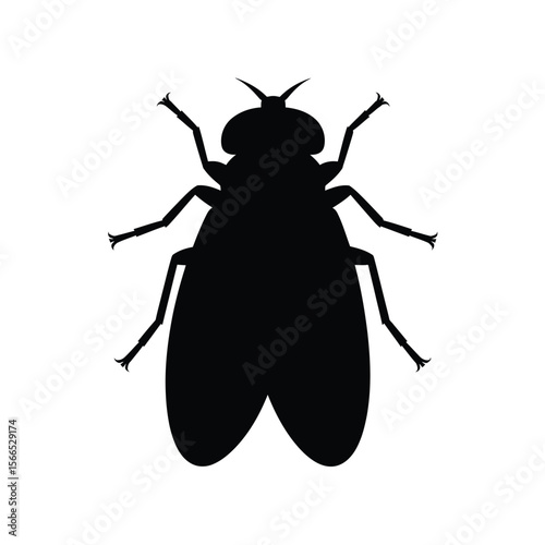 A black silhouette of a house fly against a pure white background