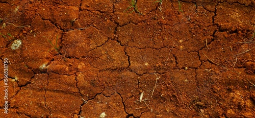 Long background, A close-up view of cracked red earth, symbolizing drought, dryness, and natural texture variations highlighting climate and environmental conditions.
