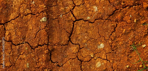 Long background, A close-up view of cracked red earth, symbolizing drought, dryness, and natural texture variations highlighting climate and environmental conditions.