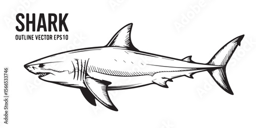 black and white shark outline vector illustration for oceanic art, storyboard, t-shirt prints, posters and digital design assets