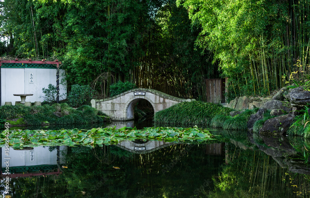 Obraz premium bridge over the river