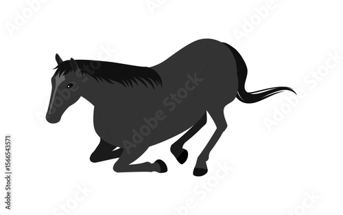A black horse sitting and resting