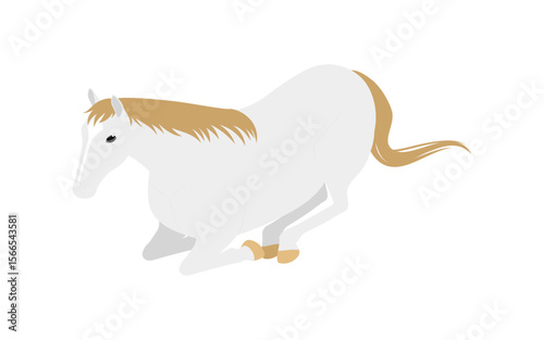 A white horse sitting and resting