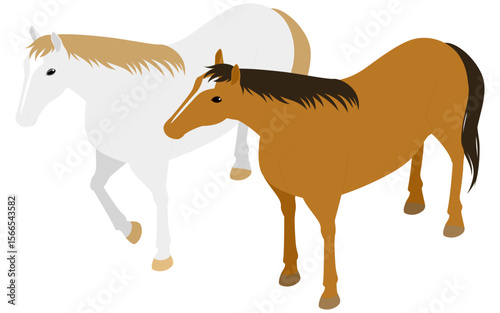 A white horse standing and lifting its front legs