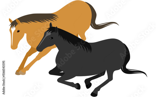 A chestnut horse and a black horse resting close together, lying side by side in a peaceful and calm posture