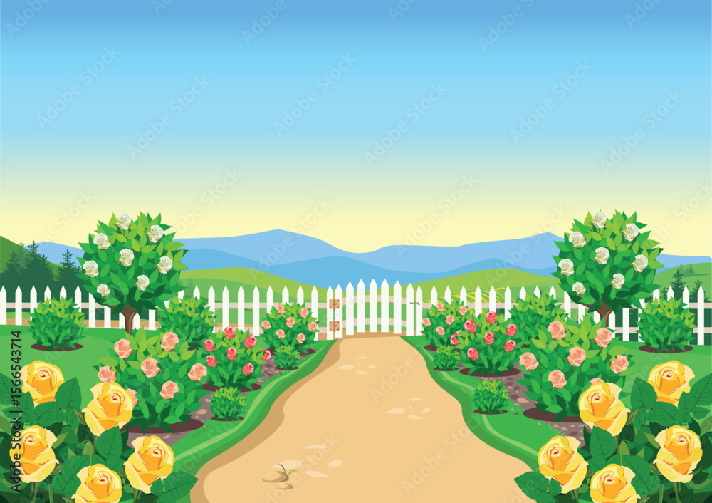 Fototapeta premium Cute rose garden in front of the house with rose bushes, white fence, garden path and ornamental plants. Flower garden in the yard. Vector illustration.
